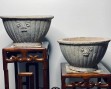 Chậu hoa, bệ đá-1
